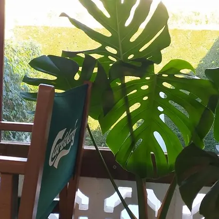 Avenida De Leon Pareado /adosado